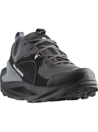 Кроссовки Salomon ELIXIR GTX black magnet quiet shade