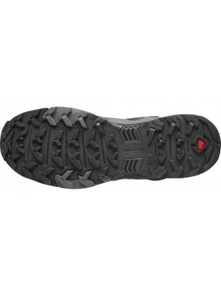 Черевики Salomon QUEST 4 GTX magnet/black/quarry