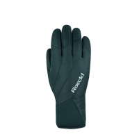 Горнолыжные перчатки Roeckl Alaska GTX black